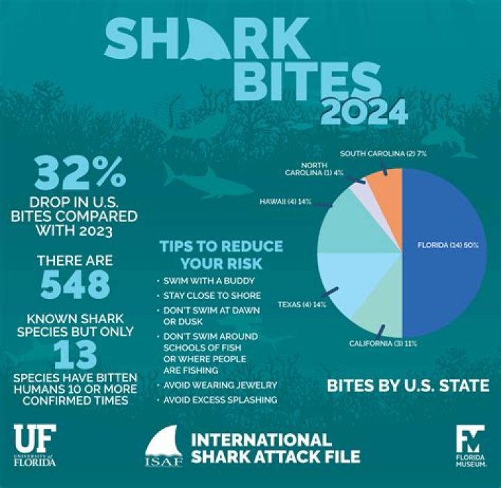 Beware: Recent Shark Attacks Haunt Hilton Head In 2024