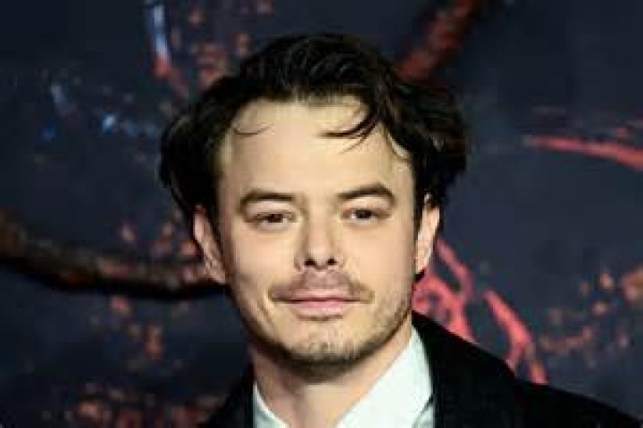 Captivating Love Story: Akiko Matsuura And Charlie Heaton