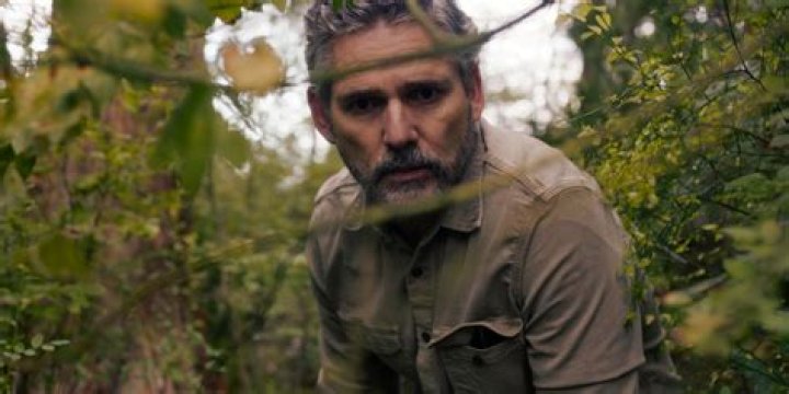 Delve Into The Untamed Romance Of Netflix's "Love In The Wild"
