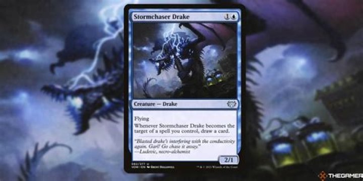 Dominating The Game: The Unstoppable 41 King