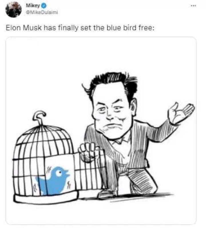 Explicit Memes: Unveiling The Boundaries Of Humor