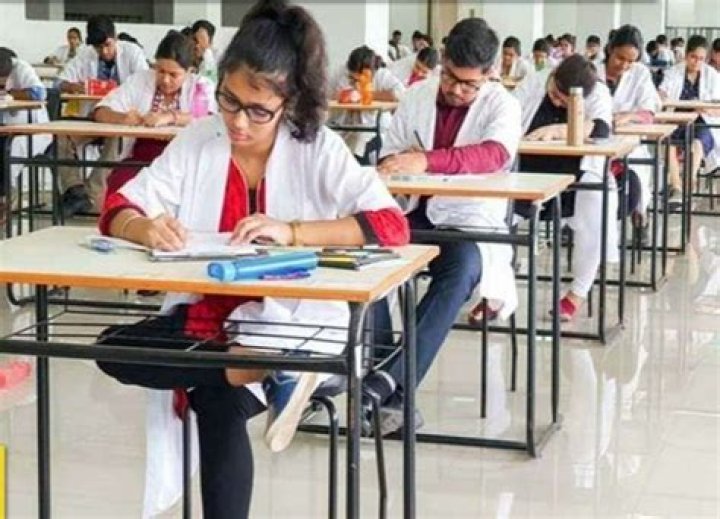 Hania Aamir's Educational Background: A Journey Through Schools And Colleges