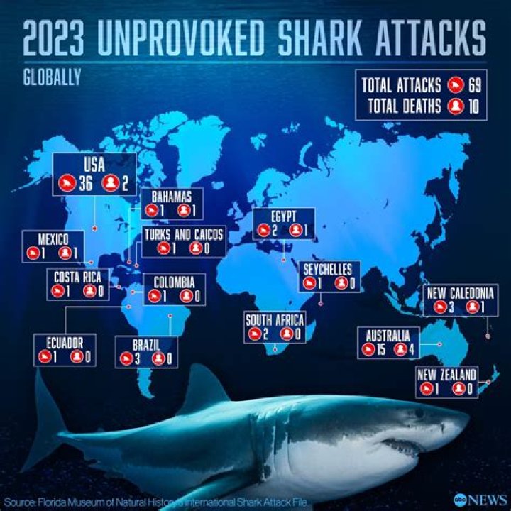 Hilton Head Shark Attacks 2024: What You Need To Know