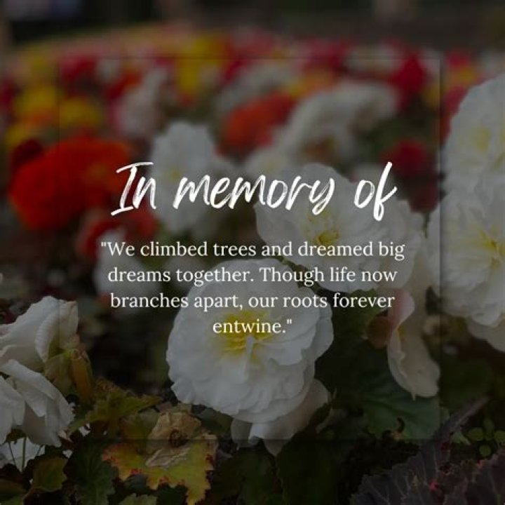 In Memory Of Loved Ones: Roseberry's Funeral Home Obituaries