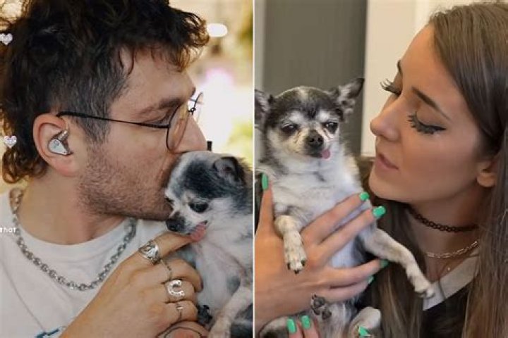 Meet Jenna Marbles' Husband: A Love Story And A Life Together