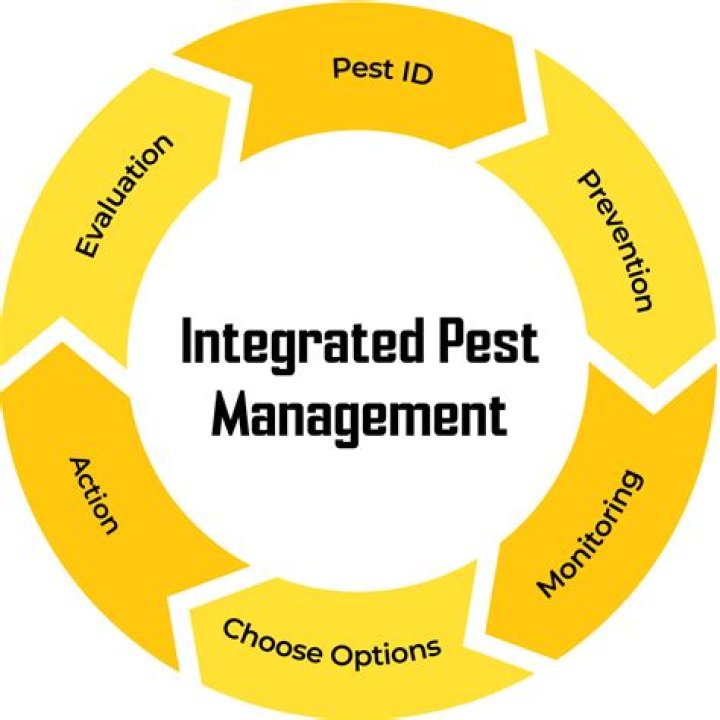 Proven Bugnot Pest Control: Comprehensive Protection For Your Home