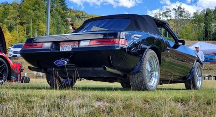 Python Mustang: A Comprehensive Guide And Review