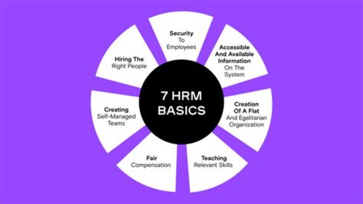 The Comprehensive Guide To HR Seeds: Everything You Need To Know
