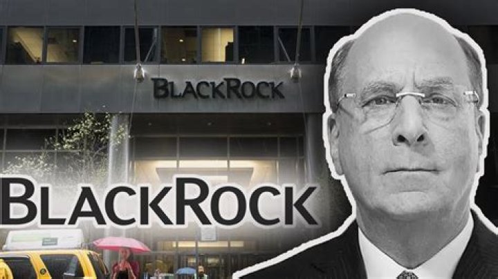 The Inside Scoop: BlackRock's Amazon Connection