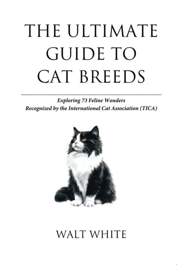 The Ultimate Guide To Cat-AT-ATs: Everything You Need To Know