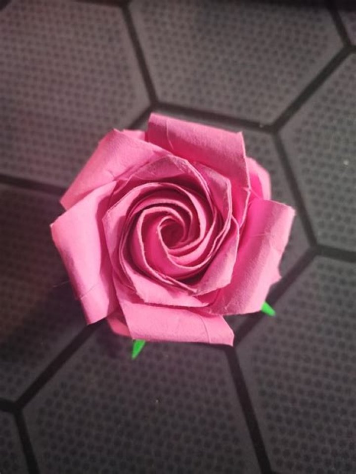 Ultimate Guide To The Exquisite Pentagon Rose: Unveiling Its Beauty And Significance