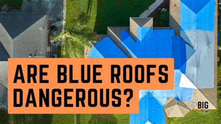 Uncover The Secrets: The Blue Roof Conspiracy Revealed