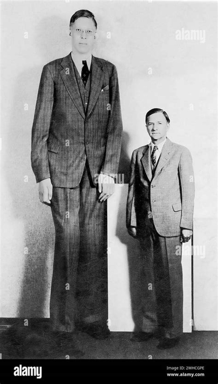 Unveiling Michael Hall's Stature: A Detailed Analysis Of His Height
